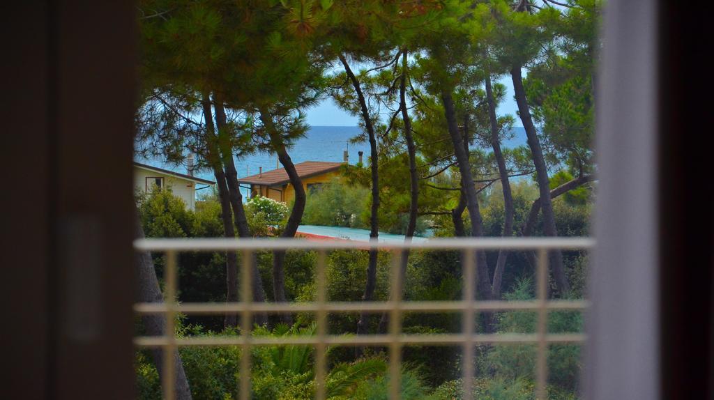 Hotel Elsa Marina di Massa